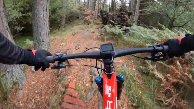 XC Hardtail VS BLACK Enduro Trail - Trek Procaliber 9.8 смотреть онлайн
