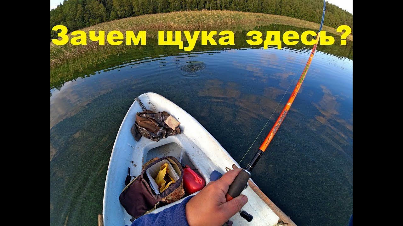 Почему щука выбирает одни и те же места. смотреть онлайн