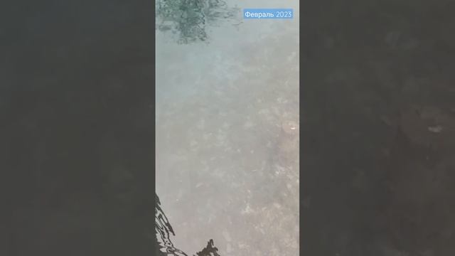 Хрустальный водопад на Голубом озере в Казани смотреть онлайн