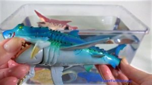Learn Sea Animals Names Sharks Whales Fish Toys for Kids Educational Video