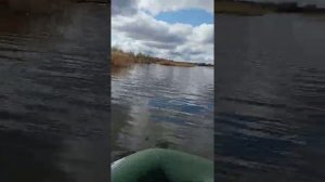 лодочный мотор Тарпон 5 и лодка ПВХ Флинк 290 обкатка