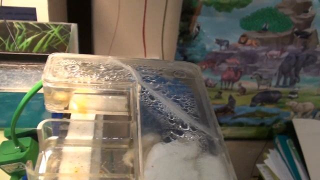 СТАРЫЙ, НО НЕ БЕСПОЛЕЗНЫЙ!!! СОВЕТСКИЙ НАРУЖНЫЙ ФИЛЬТР | SOVIET OUTDOOR FILTER смотреть онлайн