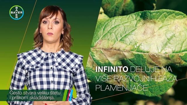 INFINITO - fungicid broj 1 protiv plemenjače! смотреть онлайн