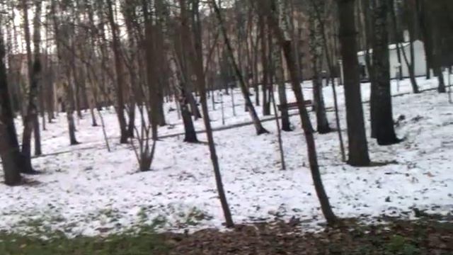 Больница: Парк (1/9) смотреть онлайн