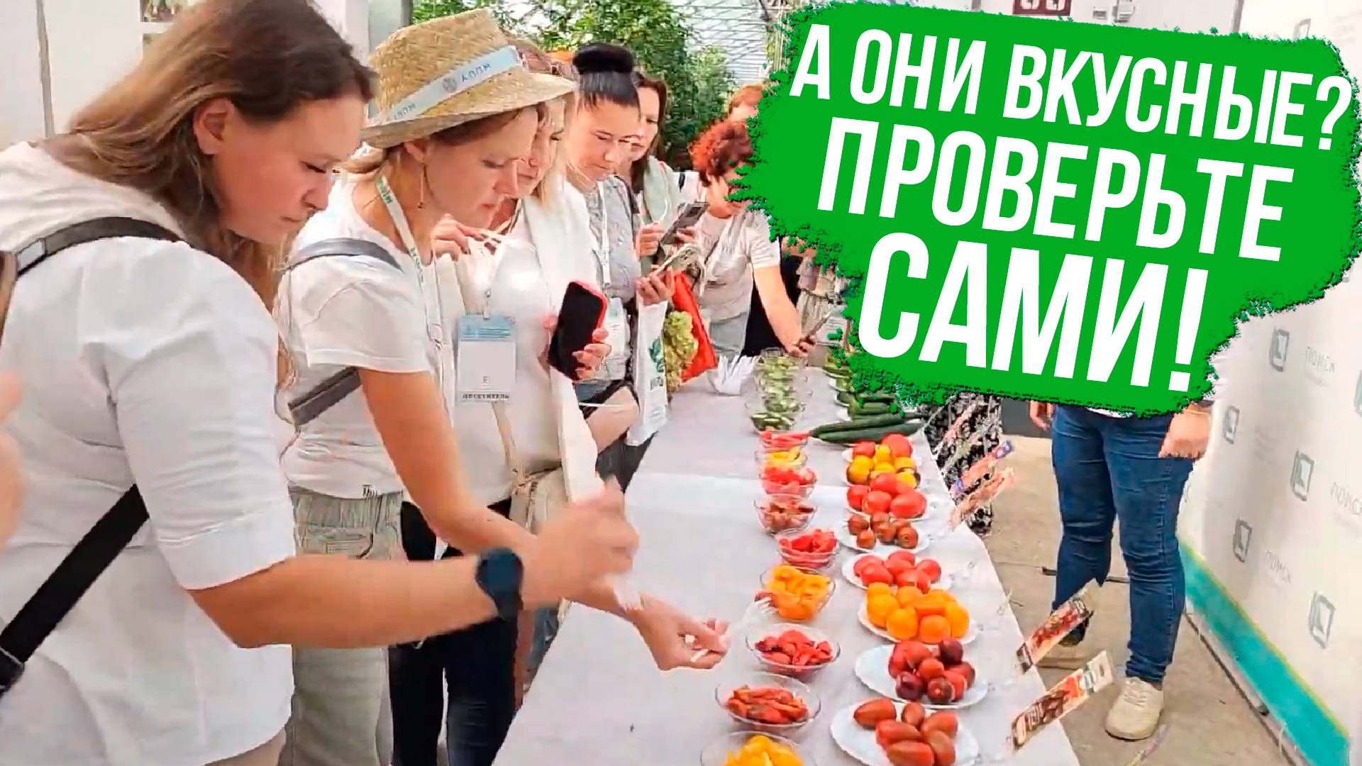 Вы будете поражены вкусом! Самые вкусные сорта и гибриды томатов и огурцов.