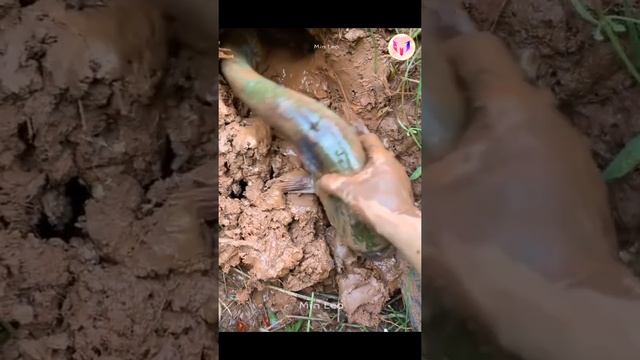Talented Fisherman ?? Catching Seafood | Deep Sea Creatures ! Fishing! -Tik Tok #58 смотреть онлайн