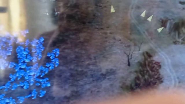 баг игры смотреть онлайн