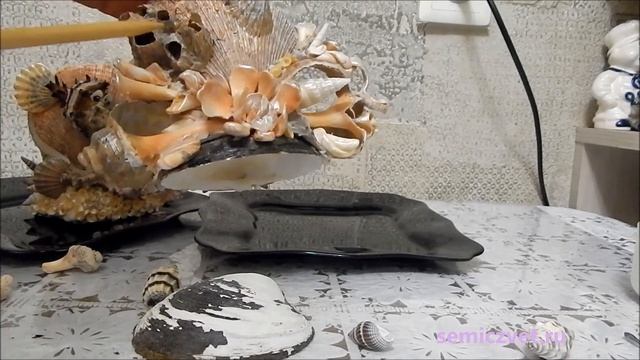 ??? Сервировка стола морскими ракушками. Салфетницы своими руками смотреть онлайн