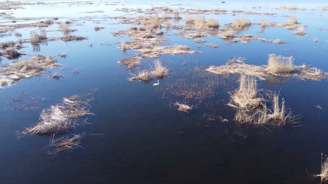 DJI mini 2 Полёт над фортами Кронштадта. Часть 1 смотреть онлайн