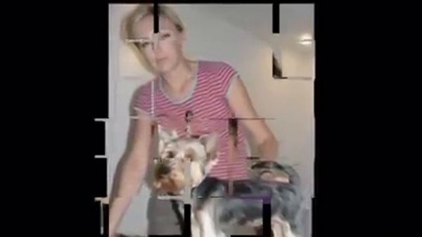 школа груминга Кати Курсовой