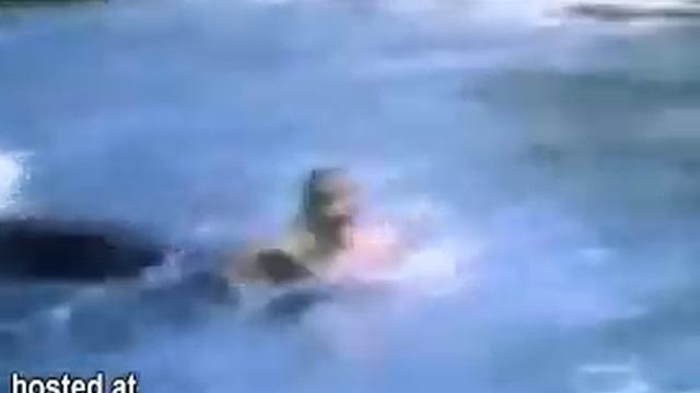 killer whale attack a hopeless girls смотреть онлайн