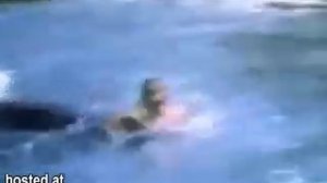 killer whale attack a hopeless girls