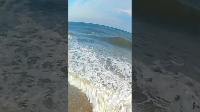 ALPHAREV RC Boat   R208   Ocean Testing Vertcal Short #rcboat #rcboating