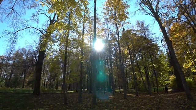 Пушкинские горы Петровское Осень 2021 смотреть онлайн