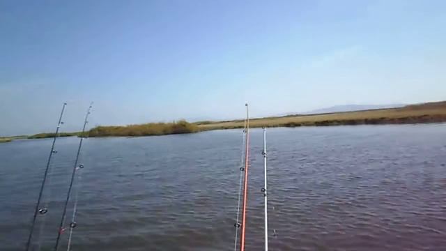 SAM 0762 смотреть онлайн