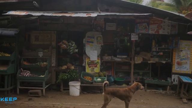 Шри Ланка смотреть онлайн