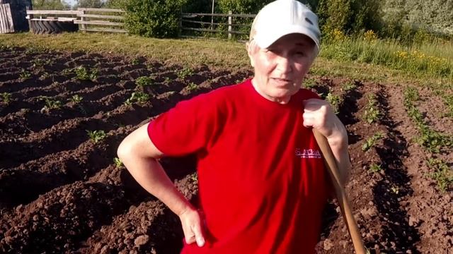 Как Окучивать Картошку смотреть онлайн