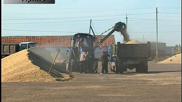 Продкорпорация объявила о начале закупа мягкой пшеницы 3 класса