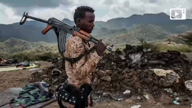 Икона Путина, Шойгу и Шанфу, Дай миллион! __ Галопом по Европам #933 смотреть онлайн