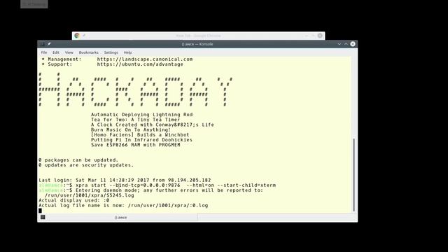 How to Use xpra to Run Linux Applications in a Web browser смотреть онлайн