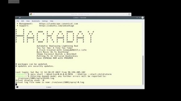 How to Use xpra to Run Linux Applications in a Web browser
