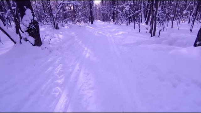 Обзор маски-полубалаклавы для бега NAROO F3h смотреть онлайн