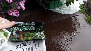 Хлороз. Пожелтели листья. Как самому сделать Хелат железа.