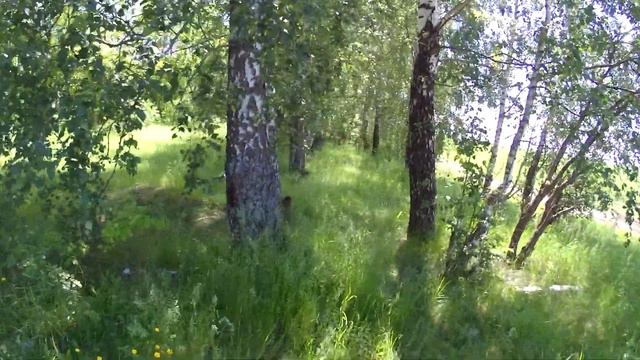 Как мы ехали домой! Москва - Пятигорск. смотреть онлайн