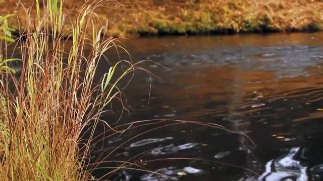 Подкаменная тунгуска. Сибирь. Россия смотреть онлайн