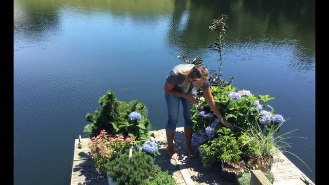 The Original Hydrangea by the Shore смотреть онлайн