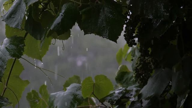 ? Релакс музыка. Шум воды смотреть онлайн