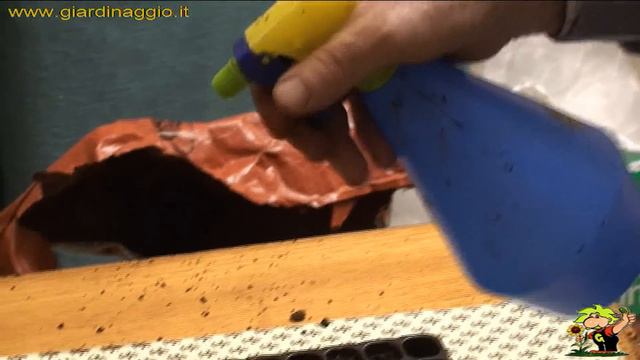 la semina in semenzaio смотреть онлайн