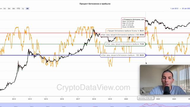 Когда будет ралли биткоина? Анализ на основе процента биткоинов в прибыли смотреть онлайн
