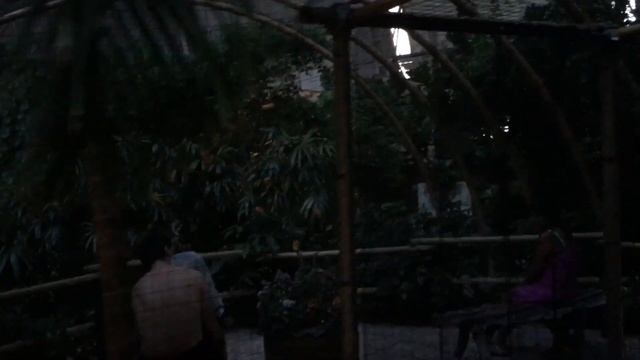 2018 Берлин аквапарк смотреть онлайн