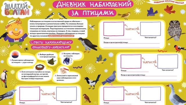 Обзор выпуска "Птички-невелички" смотреть онлайн