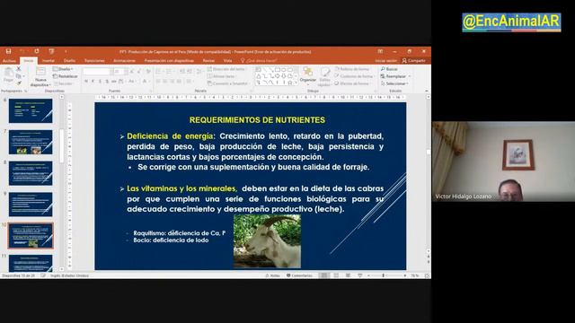 INSTITUTO E.A.AR – GANADOS · Mejoramiento genético · смотреть онлайн