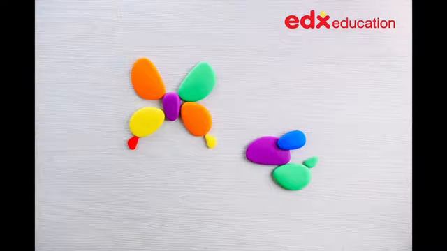 Радужные камешки, Edx Education, мелкая моторика,