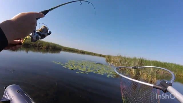Щука сошла с ума, летом клюет как осенью !!!! Открытие лодочного сезона в Саратове сезон 2023 смотреть онлайн