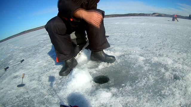 оз Мичуринское корюшка отличный клев. смотреть онлайн