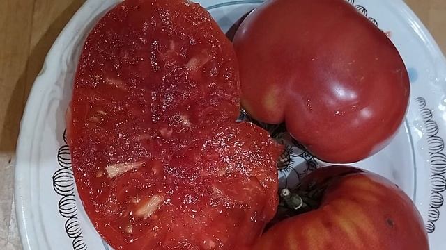 Коллекционный томат Болгарское чудо. г. Киров. Ватсап, Вайбер т. 89229284031 смотреть онлайн