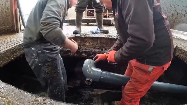 THE LAST PIECE OF THE PUZZLE... смотреть онлайн