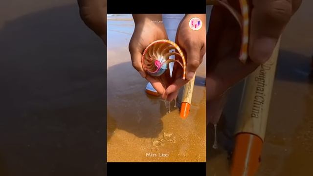 Catching Seafood ?? Deep Sea Octopus (Catch Crab, Catch Fish) - Tik Tok #77 смотреть онлайн