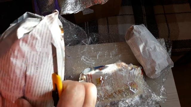 Новенькие орхидеи прибыли! Давайте распакуем! Пересылка зимой! Фаленопсисы, масдевалии, дракула. смотреть онлайн