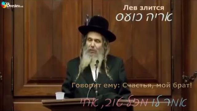 Я тоже был львом...😁 смотреть онлайн