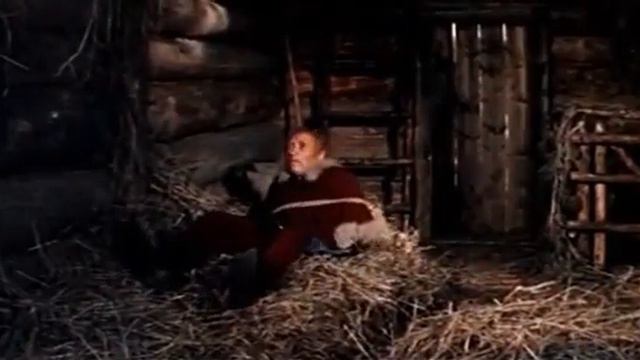 Finest, the brave Falcon (1976) movie смотреть онлайн
