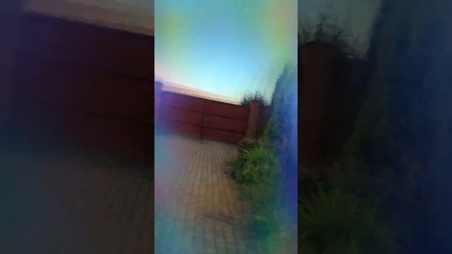 Опухлики. Очень много роз!? смотреть онлайн