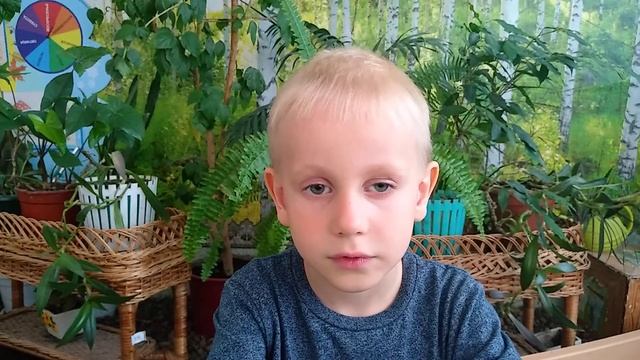Урок 1 Автоматизация звука С у ребенка средней группы ТНР смотреть онлайн