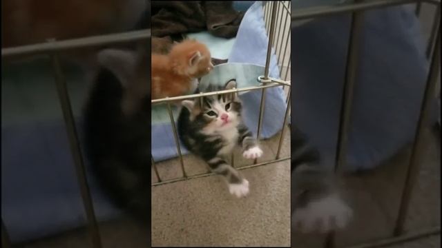 Когда пытаешься убежать от кого-то во сне. смотреть онлайн