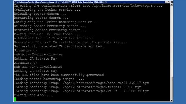 Micro Focus NOM Demonstration Install NOM Express using CDF смотреть онлайн