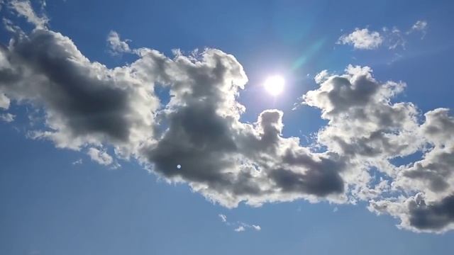 Колесниковы//Откуда дети про это знают? // Дельный совет Леше// Обзор видео// смотреть онлайн